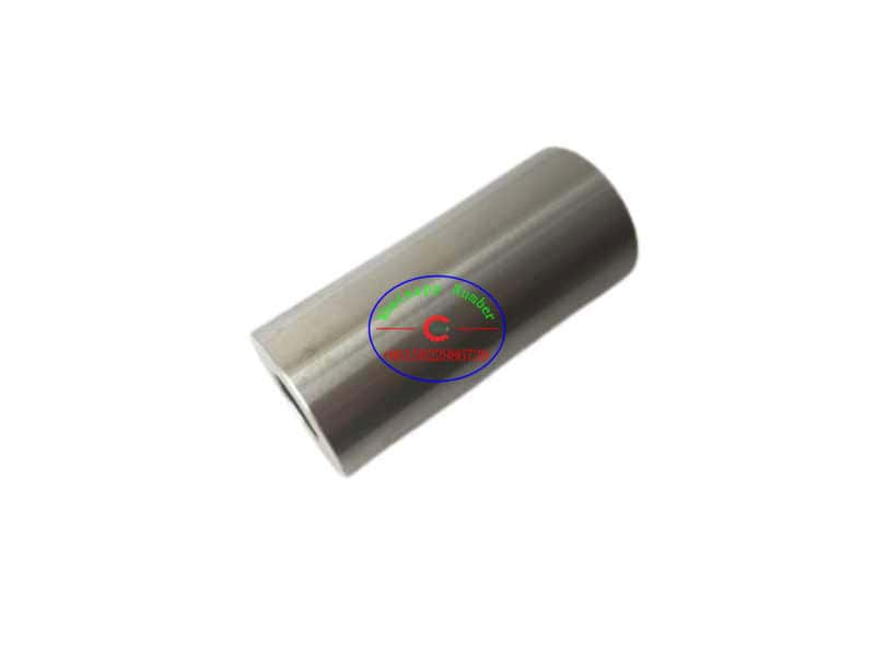 T3313T005 piston pin