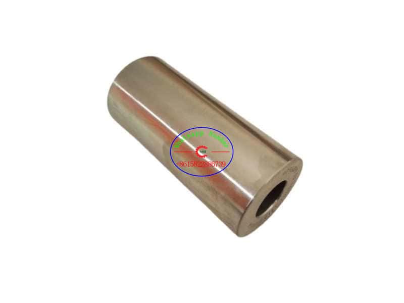 T3313T005 piston pin